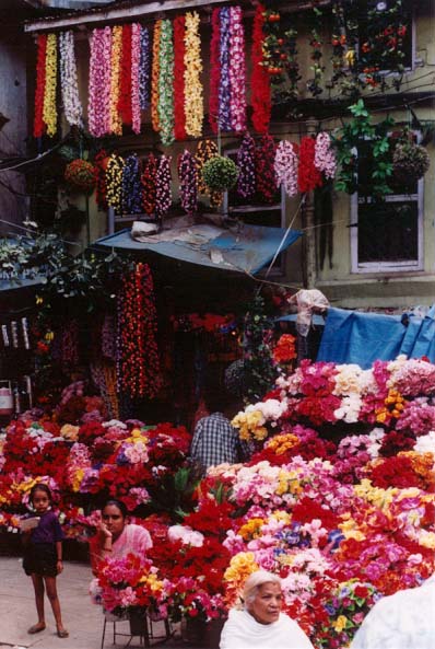Kathmandu Flower Shop